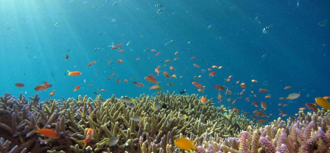 Elite Greece Travels – Luxury Tours in Greece, Scuba-Diving