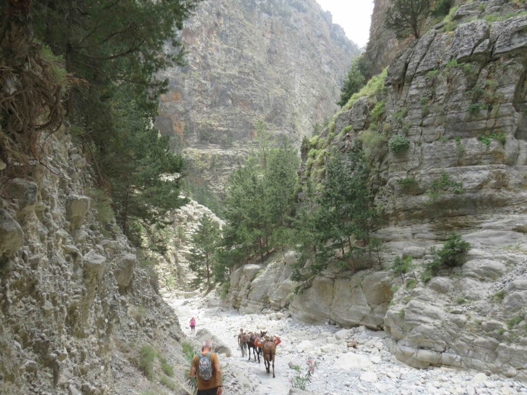 samaria