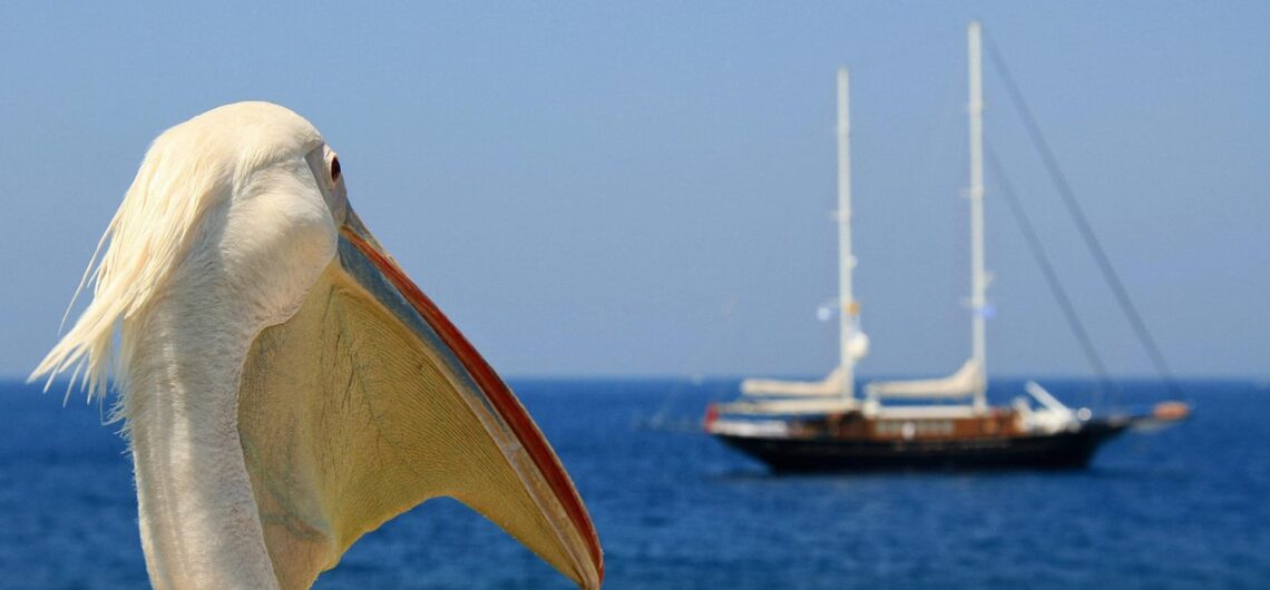 Elite Greece Travels – Luxury Tours in Greece, mykonos