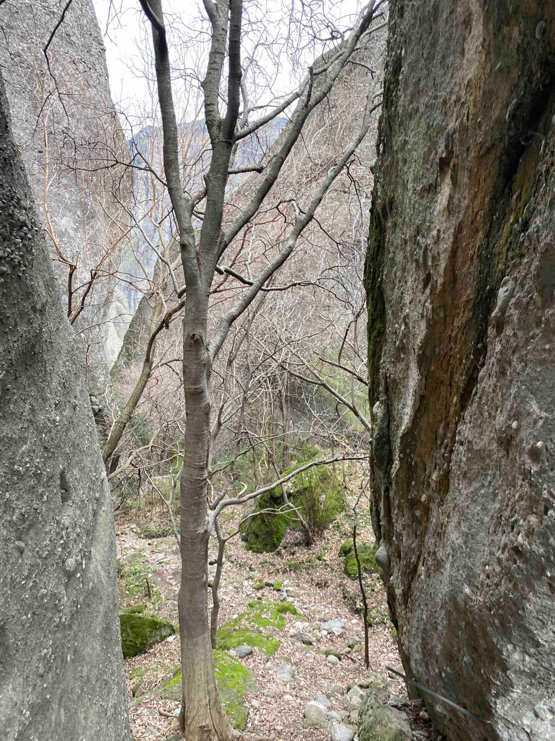 Meteora Hike & Pilates Experience in Greece with certified instructor