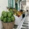 Baskets of watermelons and a colorful fruit stand outside a white-washed building with turquoise doors in a sunny Greek street.