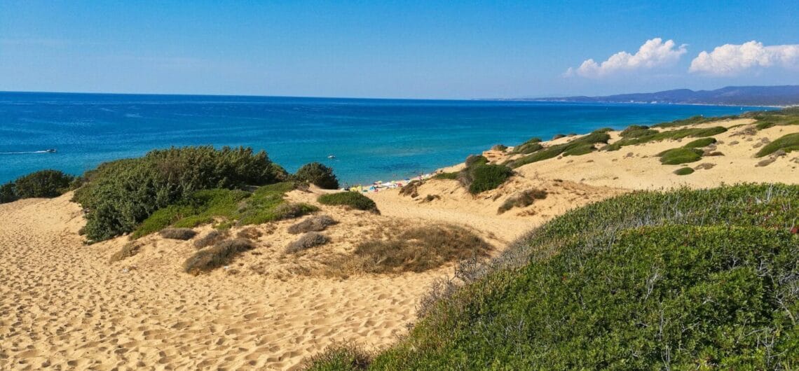Sunny dune-covered coast with a blue sea and distant hills; beachgoers relax near the shore under umbrellas.