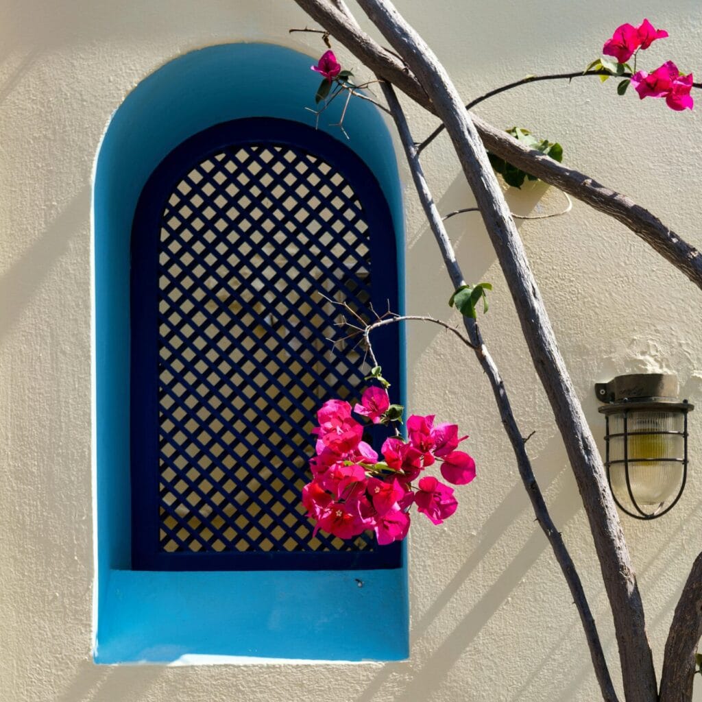 Blue arched window with lattice on a beige wall, with pink bougainvillea vines wrapping the branches nearby and a lantern-style light fixture to the right.