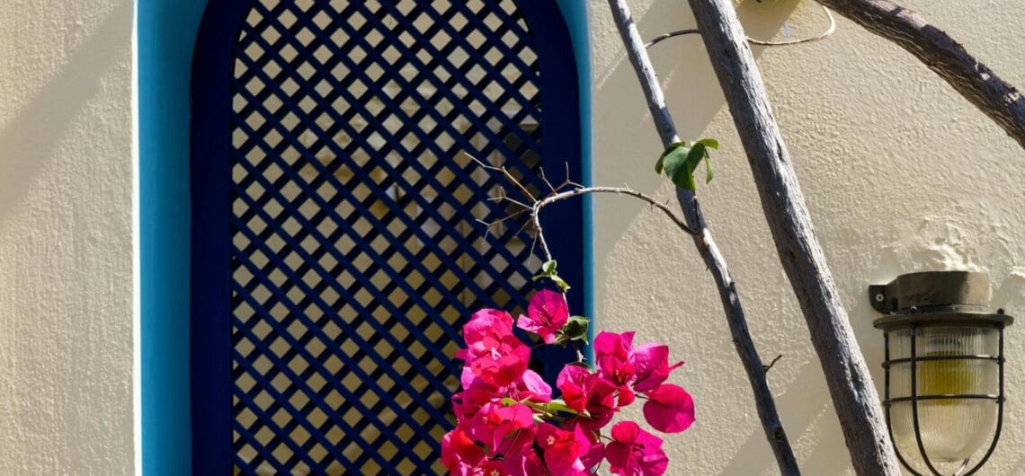 Blue arched window with lattice on a beige wall, with pink bougainvillea vines wrapping the branches nearby and a lantern-style light fixture to the right.